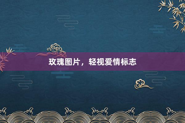 玫瑰图片,轻视爱情标志