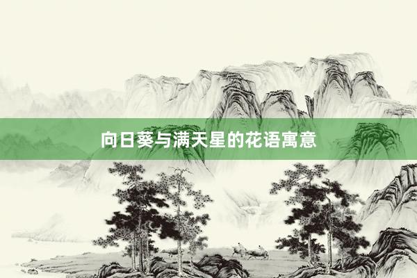 向日葵与满天星的花语寓意