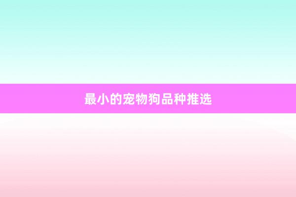 最小的宠物狗品种推选