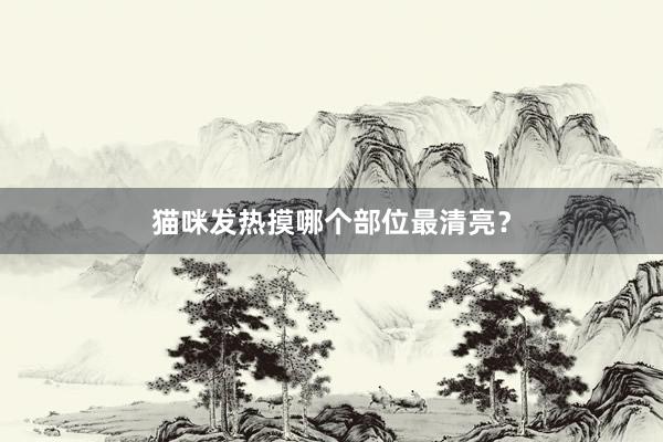 猫咪发热摸哪个部位最清亮？